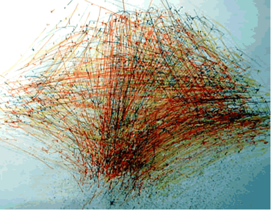 Community and Subjectivity in Contemporary Theory: Dissertation Abstract